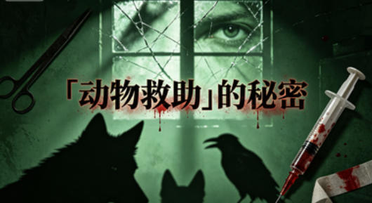 「动物救助」的秘密
